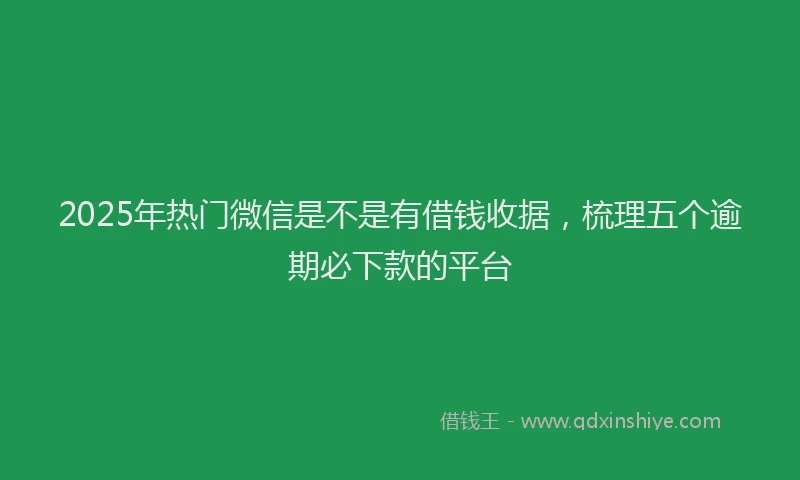 2025年热门微信是不是有借钱收据，梳理五个逾期必下款的平台