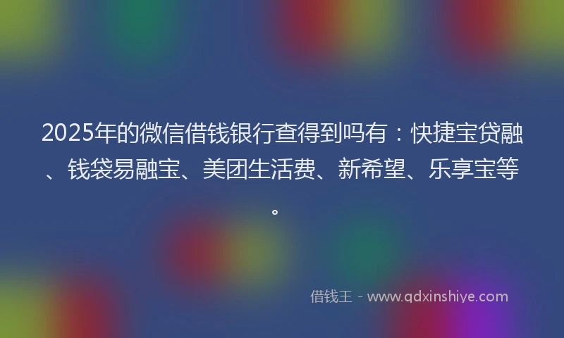 2025年的微信借钱银行查得到吗有：快捷宝贷融、钱袋易融宝、美团生活费、新希望、乐享宝等。