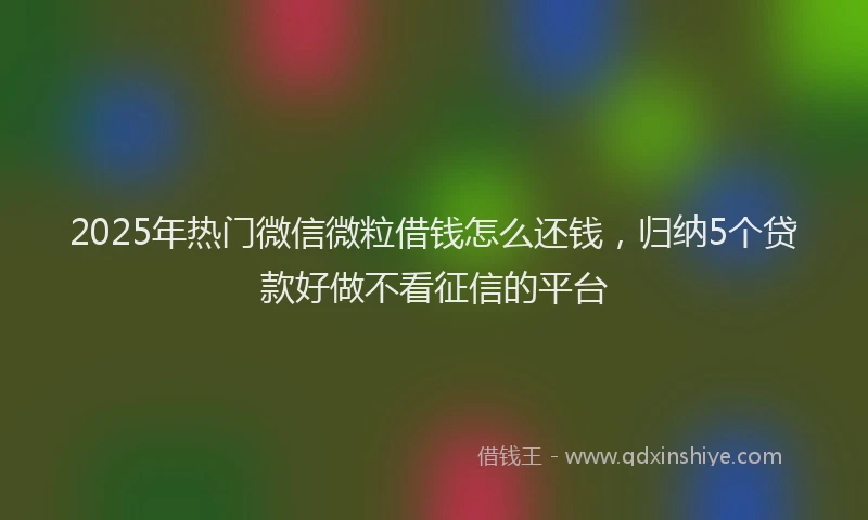 2025年热门微信微粒借钱怎么还钱，归纳5个贷款好做不看征信的平台