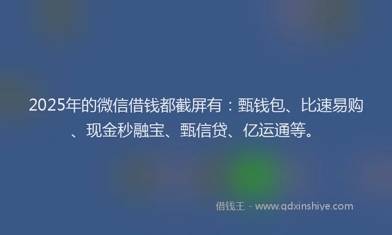 2025年的微信借钱都截屏有：甄钱包、比速易购、现金秒融宝、甄信贷、亿运通等。