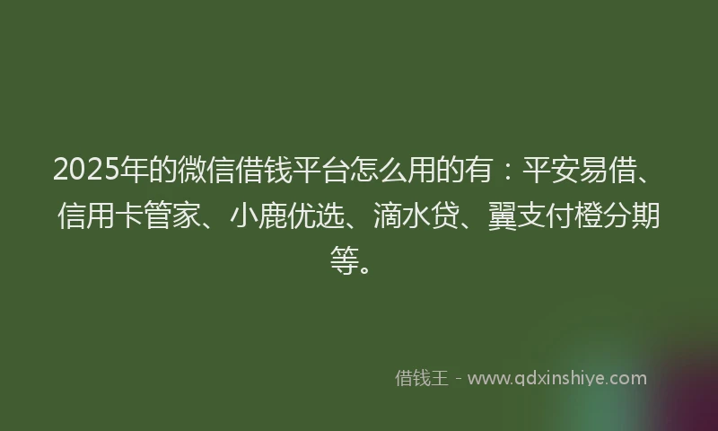 2025年的微信借钱平台怎么用的有：平安易借、信用卡管家、小鹿优选、滴水贷、翼支付橙分期等。