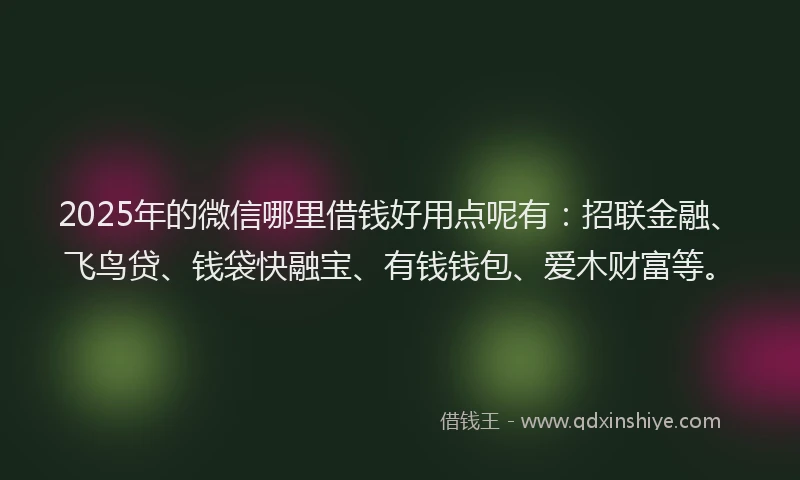 2025年的微信哪里借钱好用点呢有：招联金融、飞鸟贷、钱袋快融宝、有钱钱包、爱木财富等。