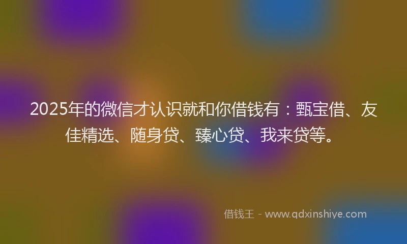 2025年的微信才认识就和你借钱有：甄宝借、友佳精选、随身贷、臻心贷、我来贷等。