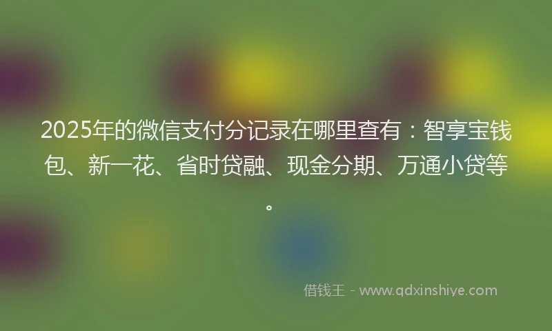2025年的微信支付分记录在哪里查有：智享宝钱包、新一花、省时贷融、现金分期、万通小贷等。