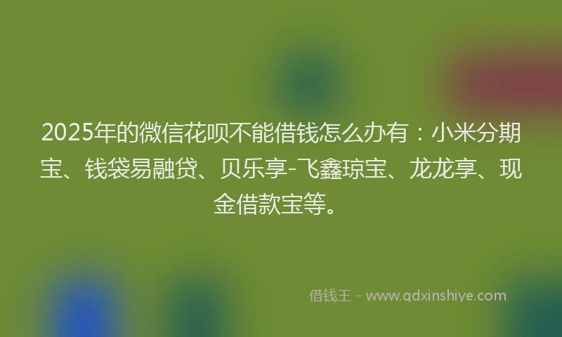 2025年的微信花呗不能借钱怎么办有：小米分期宝、钱袋易融贷、贝乐享-飞鑫琼宝、龙龙享、现金借款宝等。