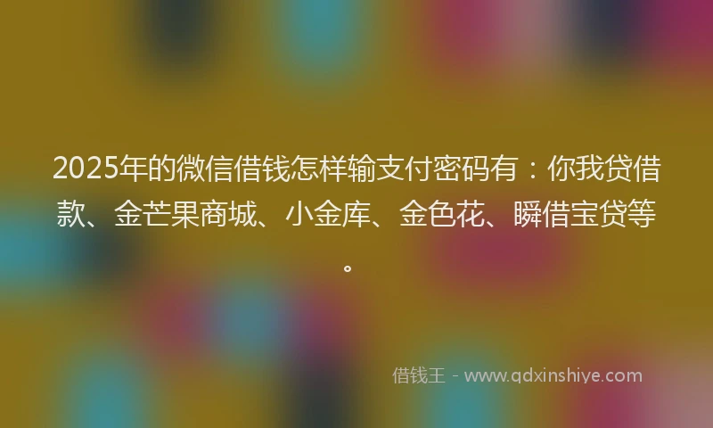 2025年的微信借钱怎样输支付密码有：你我贷借款、金芒果商城、小金库、金色花、瞬借宝贷等。