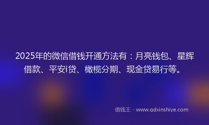 2025年的微信借钱开通方法有：月亮钱包、星辉借款、平安i贷、橄榄分期、现金贷易行等。