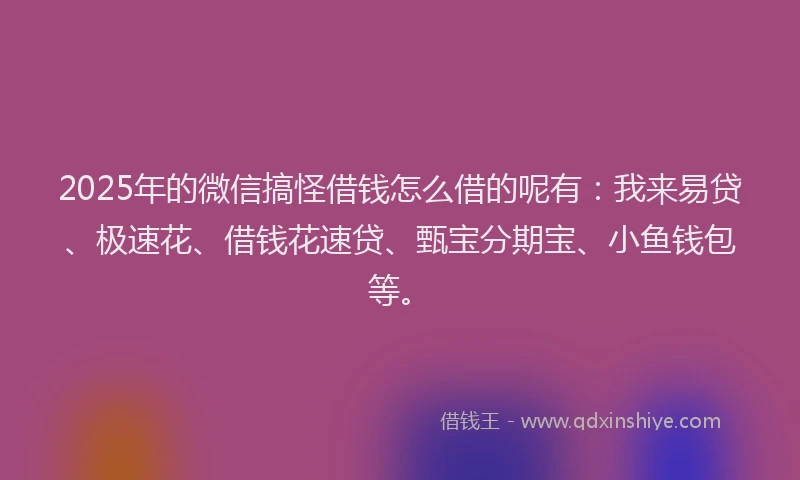 2025年的微信搞怪借钱怎么借的呢有：我来易贷、极速花、借钱花速贷、甄宝分期宝、小鱼钱包等。