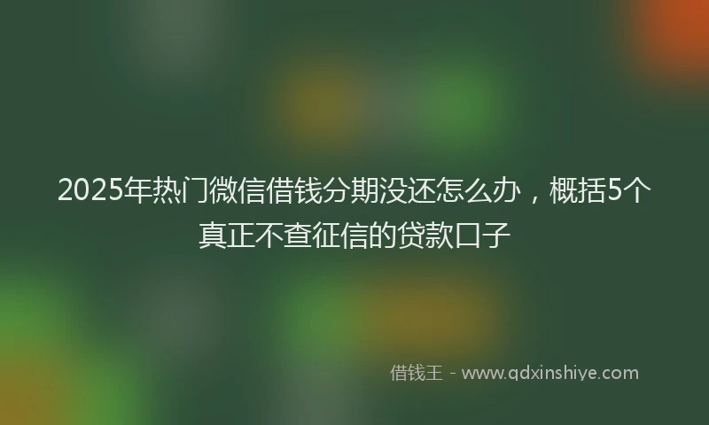 2025年热门微信借钱分期没还怎么办，概括5个真正不查征信的贷款口子