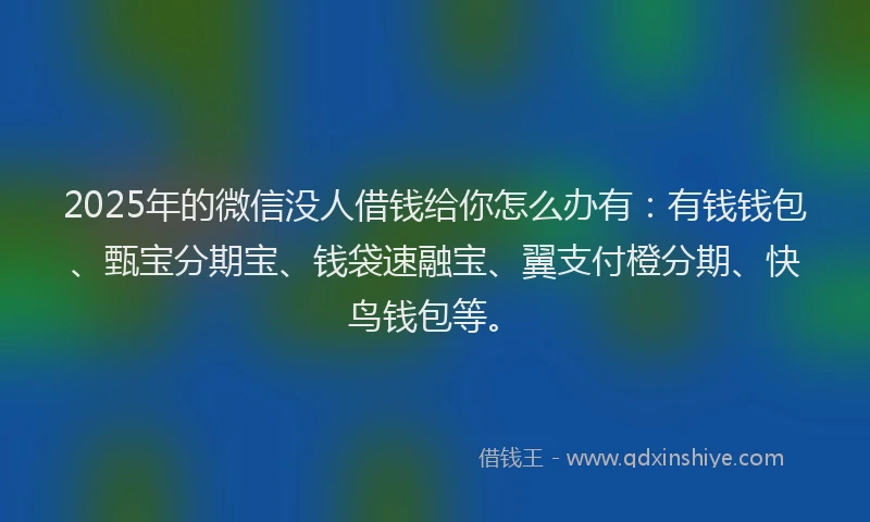 2025年的微信没人借钱给你怎么办有：有钱钱包、甄宝分期宝、钱袋速融宝、翼支付橙分期、快鸟钱包等。