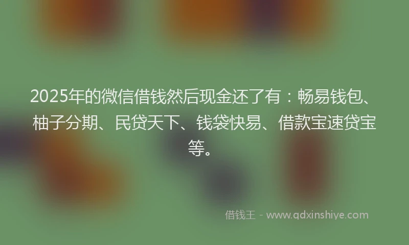 2025年的微信借钱然后现金还了有：畅易钱包、柚子分期、民贷天下、钱袋快易、借款宝速贷宝等。