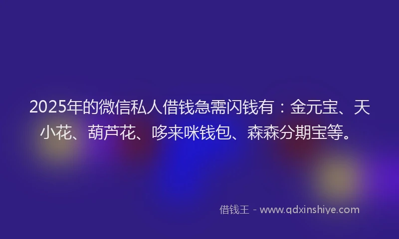 2025年的微信私人借钱急需闪钱有：金元宝、天小花、葫芦花、哆来咪钱包、森森分期宝等。