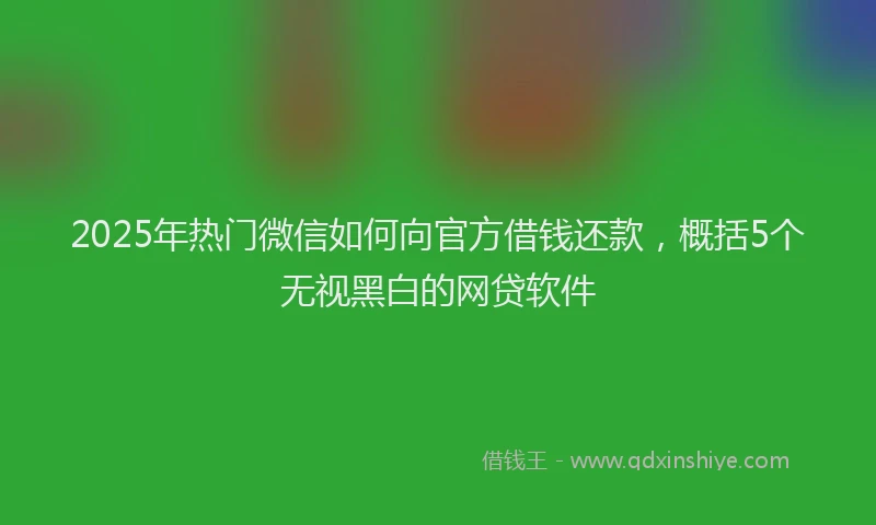 2025年热门微信如何向官方借钱还款，概括5个无视黑白的网贷软件