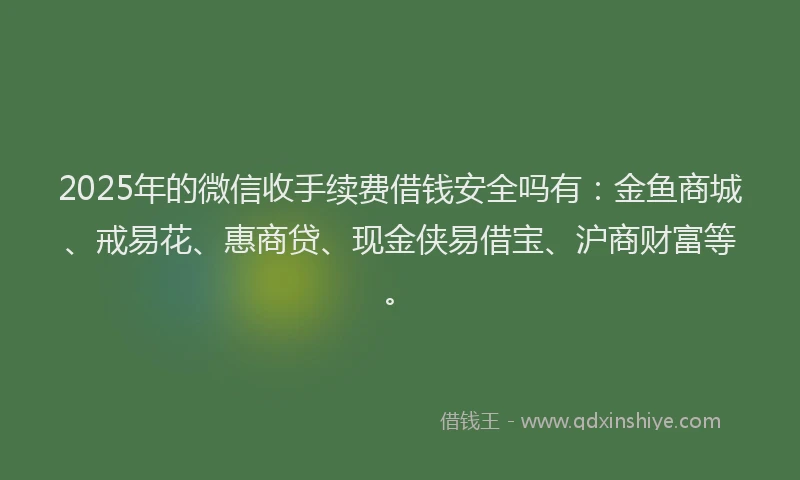 2025年的微信收手续费借钱安全吗有：金鱼商城、戒易花、惠商贷、现金侠易借宝、沪商财富等。