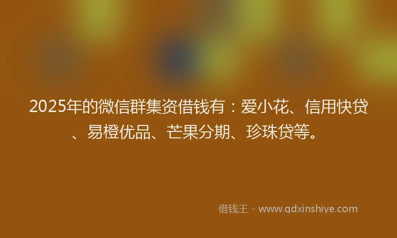 2025年的微信群集资借钱有：爱小花、信用快贷、易橙优品、芒果分期、珍珠贷等。