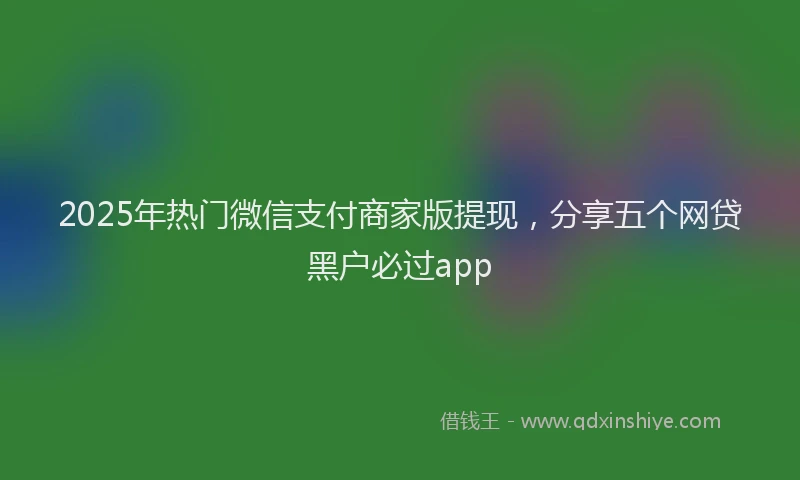 2025年热门微信支付商家版提现，分享五个网贷黑户必过app