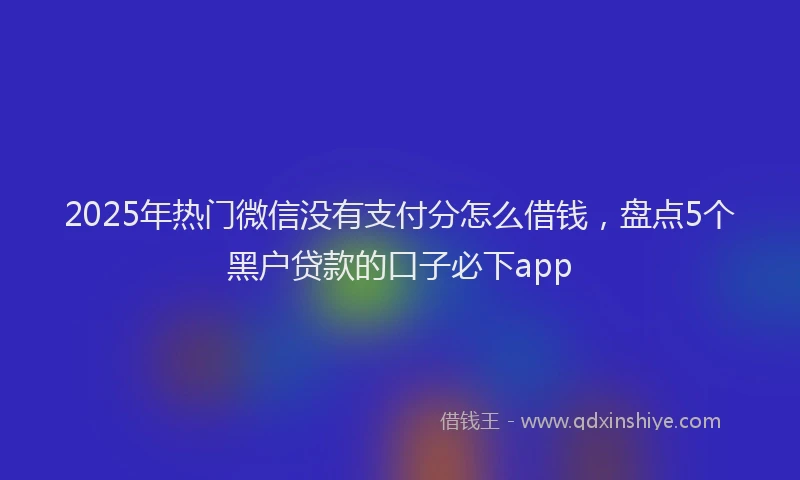 2025年热门微信没有支付分怎么借钱，盘点5个黑户贷款的口子必下app