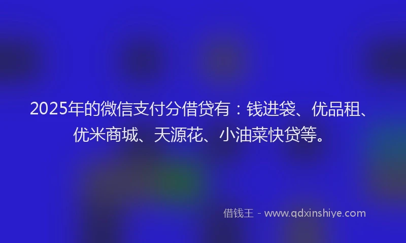 2025年的微信支付分借贷有：钱进袋、优品租、优米商城、天源花、小油菜快贷等。