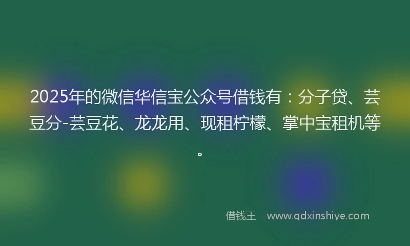 2025年的微信华信宝公众号借钱有：分子贷、芸豆分-芸豆花、龙龙用、现租柠檬、掌中宝租机等。