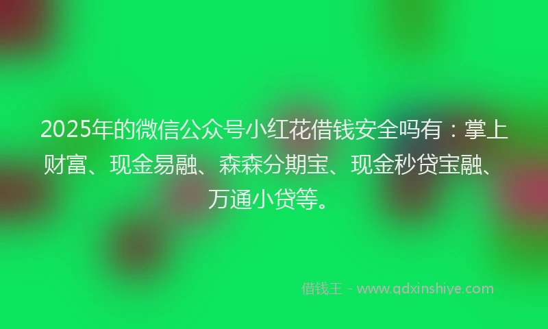 2025年的微信公众号小红花借钱安全吗有：掌上财富、现金易融、森森分期宝、现金秒贷宝融、万通小贷等。