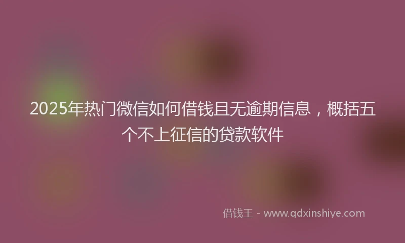 2025年热门微信如何借钱且无逾期信息，概括五个不上征信的贷款软件