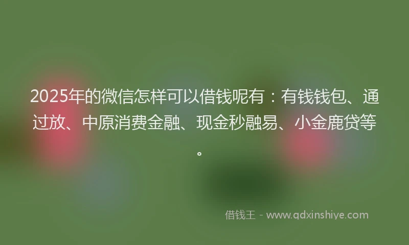 2025年的微信怎样可以借钱呢有：有钱钱包、通过放、中原消费金融、现金秒融易、小金鹿贷等。