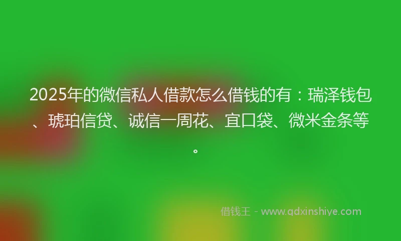 2025年的微信私人借款怎么借钱的有：瑞泽钱包、琥珀信贷、诚信一周花、宜口袋、微米金条等。