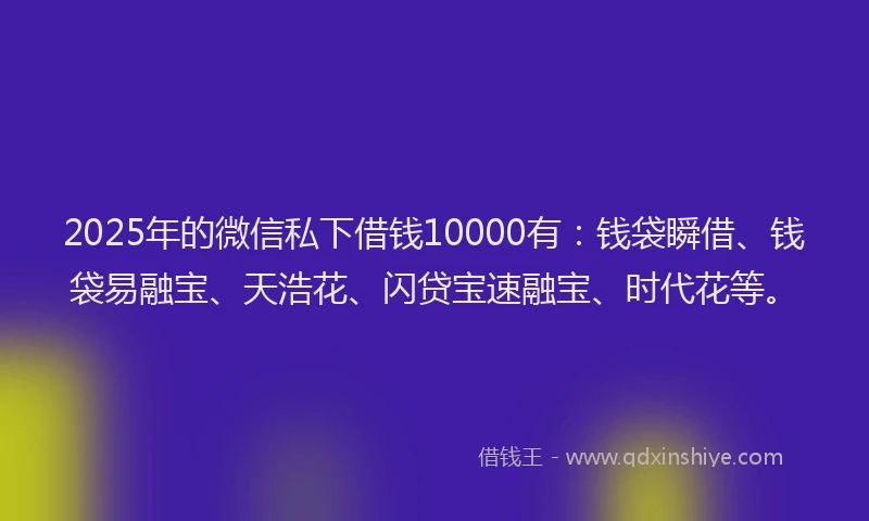 2025年的微信私下借钱10000有：钱袋瞬借、钱袋易融宝、天浩花、闪贷宝速融宝、时代花等。