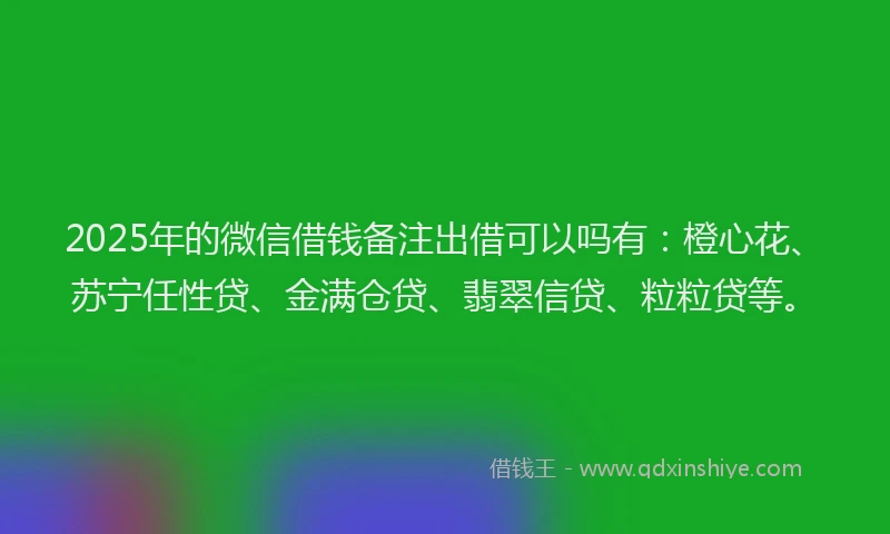 2025年的微信借钱备注出借可以吗有：橙心花、苏宁任性贷、金满仓贷、翡翠信贷、粒粒贷等。
