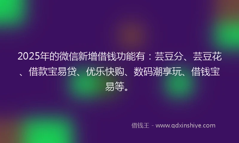 2025年的微信新增借钱功能有：芸豆分、芸豆花、借款宝易贷、优乐快购、数码潮享玩、借钱宝易等。