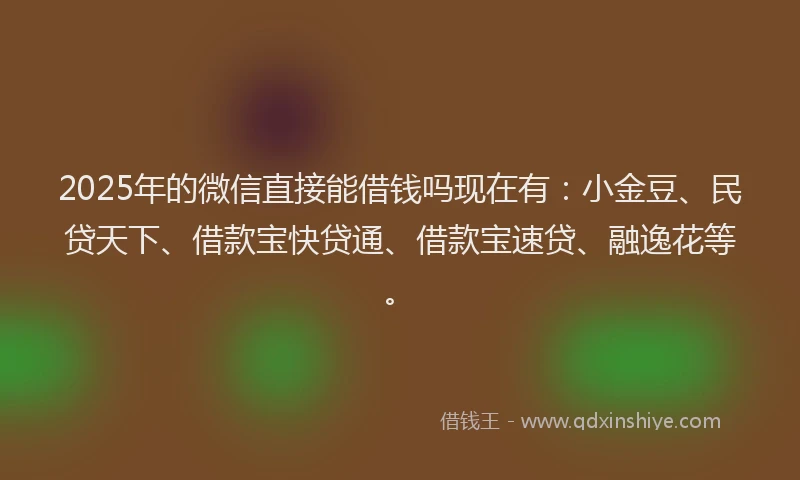 2025年的微信直接能借钱吗现在有：小金豆、民贷天下、借款宝快贷通、借款宝速贷、融逸花等。