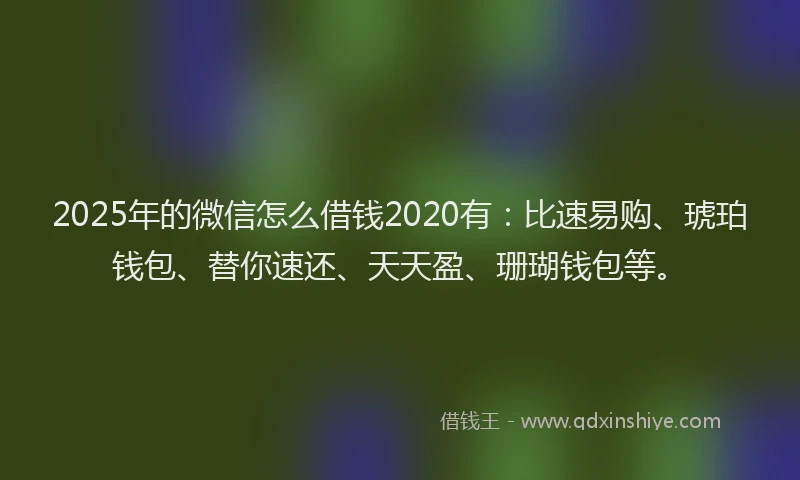 2025年的微信怎么借钱2020有：比速易购、琥珀钱包、替你速还、天天盈、珊瑚钱包等。