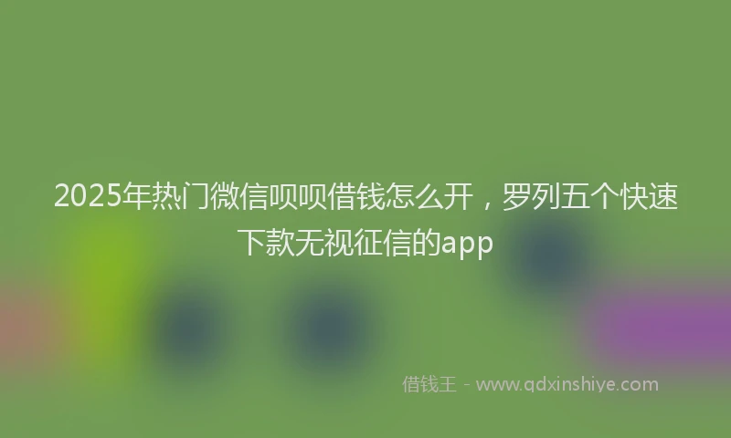 2025年热门微信呗呗借钱怎么开，罗列五个快速下款无视征信的app