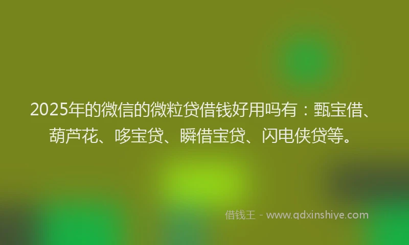 2025年的微信的微粒贷借钱好用吗有：甄宝借、葫芦花、哆宝贷、瞬借宝贷、闪电侠贷等。