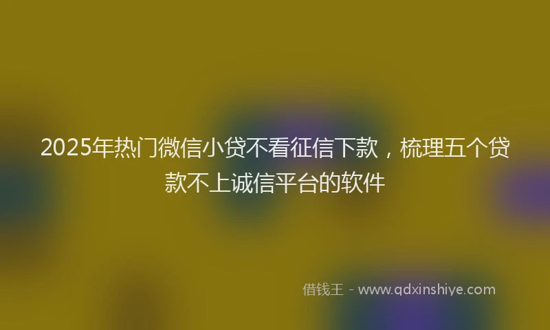 2025年热门微信小贷不看征信下款，梳理五个贷款不上诚信平台的软件