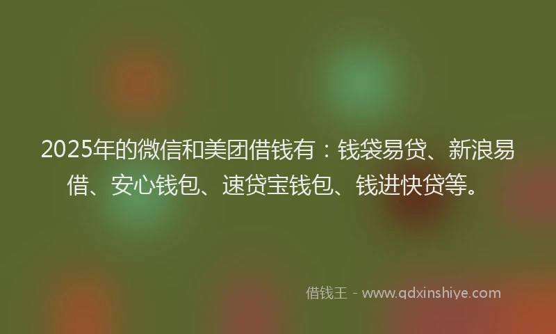 2025年的微信和美团借钱有：钱袋易贷、新浪易借、安心钱包、速贷宝钱包、钱进快贷等。