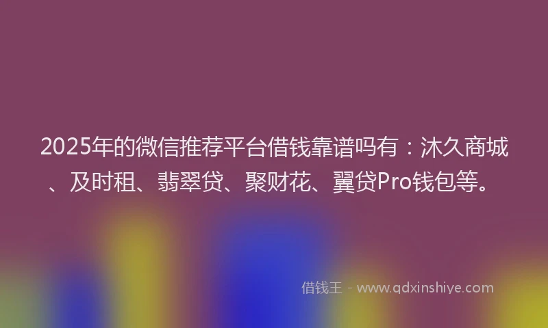 2025年的微信推荐平台借钱靠谱吗有：沐久商城、及时租、翡翠贷、聚财花、翼贷Pro钱包等。