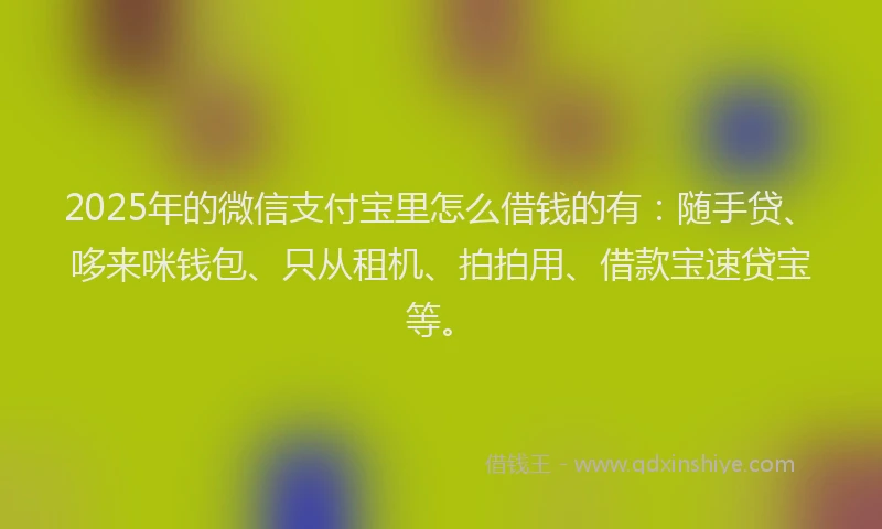 2025年的微信支付宝里怎么借钱的有：随手贷、哆来咪钱包、只从租机、拍拍用、借款宝速贷宝等。