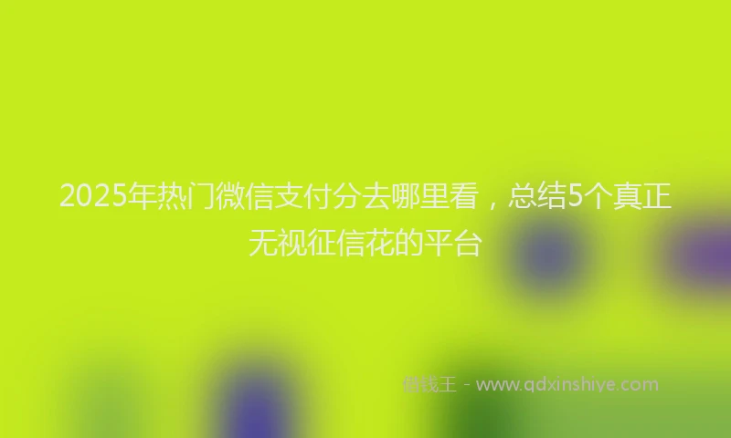 2025年热门微信支付分去哪里看，总结5个真正无视征信花的平台