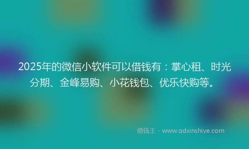 2025年的微信小软件可以借钱有：掌心租、时光分期、金峰易购、小花钱包、优乐快购等。