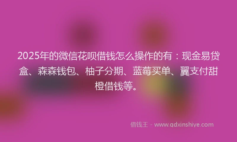 2025年的微信花呗借钱怎么操作的有：现金易贷盒、森森钱包、柚子分期、蓝莓买单、翼支付甜橙借钱等。