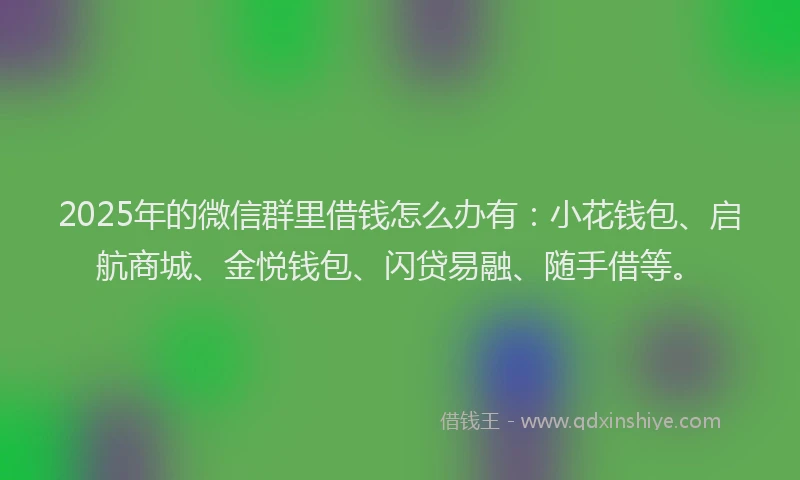 2025年的微信群里借钱怎么办有：小花钱包、启航商城、金悦钱包、闪贷易融、随手借等。