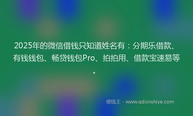 2025年的微信借钱只知道姓名有：分期乐借款、有钱钱包、畅贷钱包Pro、拍拍用、借款宝速易等。