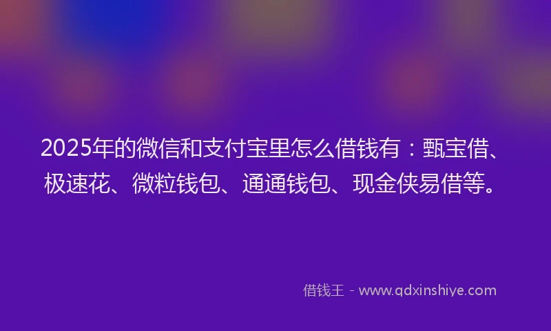 2025年的微信和支付宝里怎么借钱有：甄宝借、极速花、微粒钱包、通通钱包、现金侠易借等。