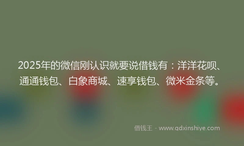 2025年的微信刚认识就要说借钱有：洋洋花呗、通通钱包、白象商城、速享钱包、微米金条等。