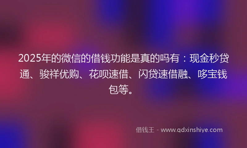 2025年的微信的借钱功能是真的吗有：现金秒贷通、骏祥优购、花呗速借、闪贷速借融、哆宝钱包等。