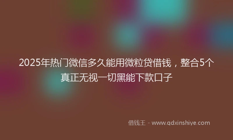 2025年热门微信多久能用微粒贷借钱，整合5个真正无视一切黑能下款口子