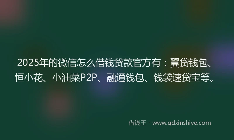 2025年的微信怎么借钱贷款官方有：翼贷钱包、恒小花、小油菜P2P、融通钱包、钱袋速贷宝等。