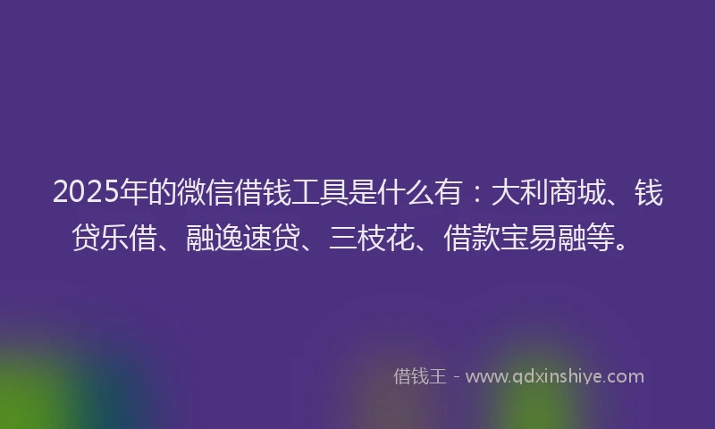 2025年的微信借钱工具是什么有：大利商城、钱贷乐借、融逸速贷、三枝花、借款宝易融等。