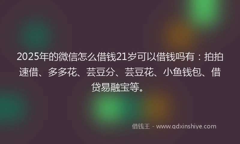 2025年的微信怎么借钱21岁可以借钱吗有：拍拍速借、多多花、芸豆分、芸豆花、小鱼钱包、借贷易融宝等。